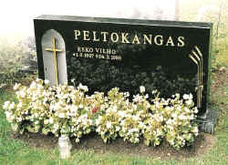 peltokangas.jpg (68768 bytes)